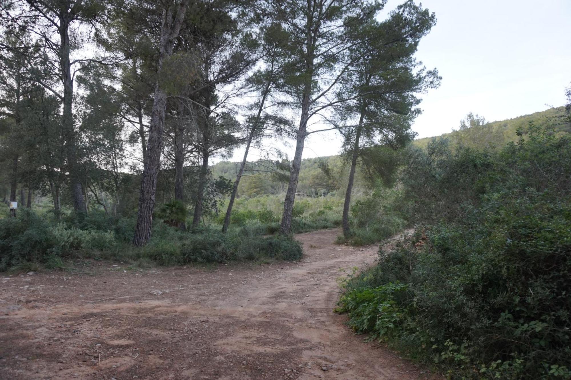 Chalet Font De Sa Cala Exterior photo